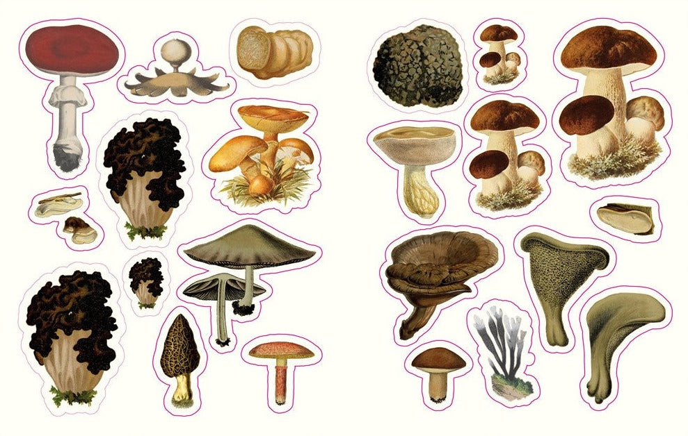 The Forests, Fairies and Fungi Sticker Anthology