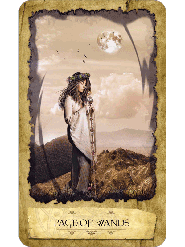 Mystic Dreamer Tarot