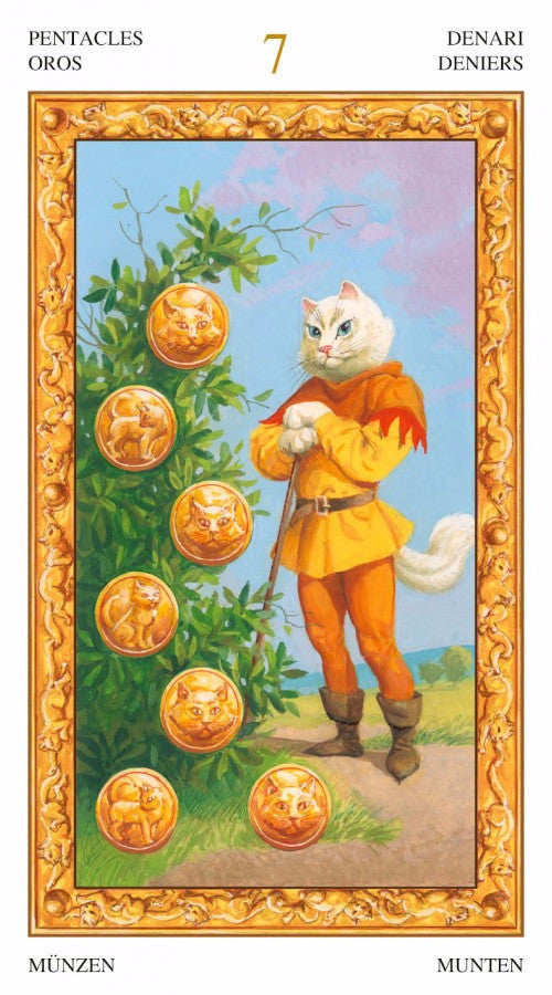 Tarot of White Cats - Gatti